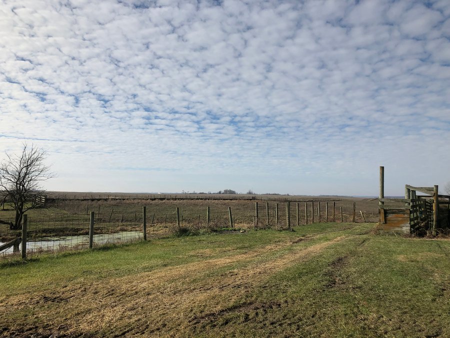 PRIME LAND AUCTION - 160+/- ACRES IN 4 TRACTS IN UNION COUTY, INDIANA